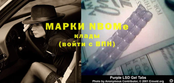 мдпв Бородино