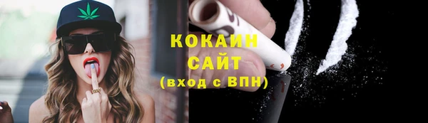мдпв Бородино