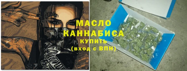 стаф Туринск