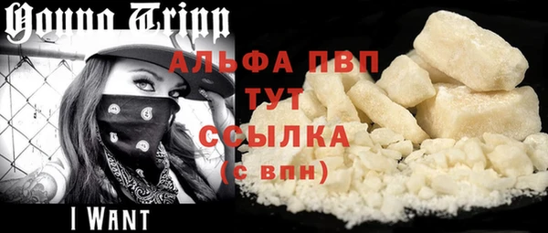 мдпв Бородино