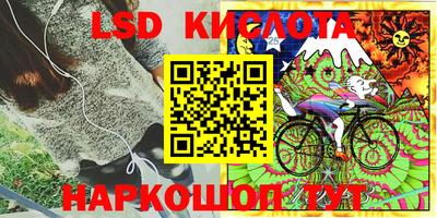 Альфа ПВП Новозыбков
