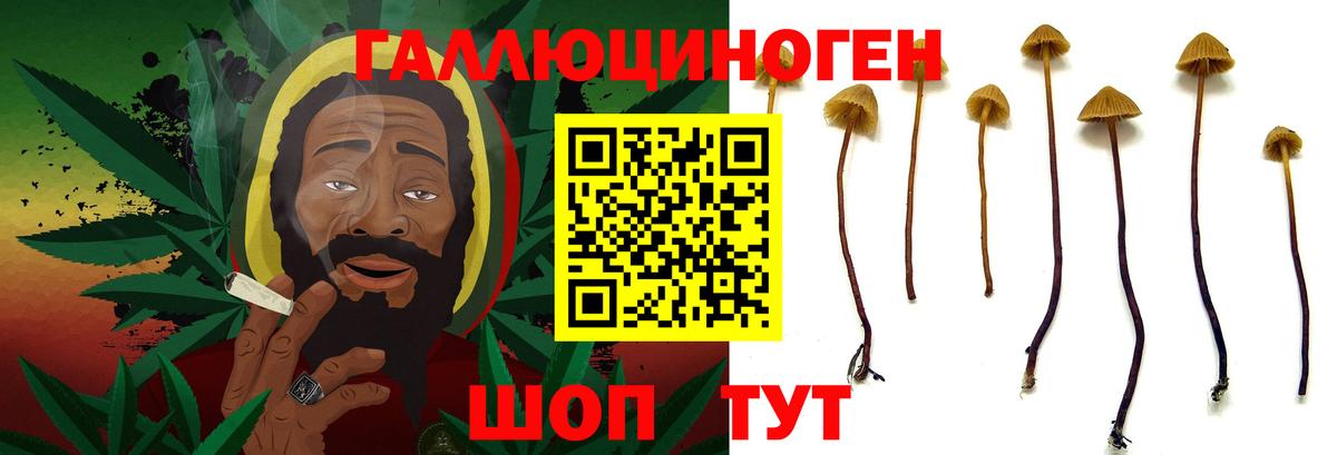 Улан-Удэ  Псилоцибиновые грибы Magic Shrooms  Псилоцибиновые грибы прущие грибы  Вход с VPN 